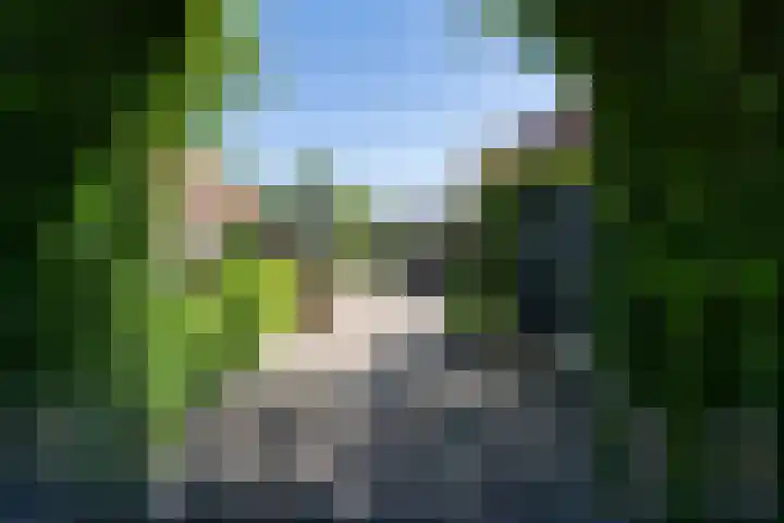 Heikempweg 1 Weert thumbnail 48