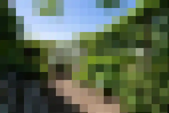 Heikempweg 1 Weert thumbnail 49