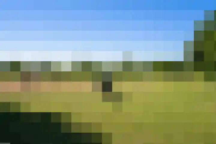 Heikempweg 1 Weert thumbnail 50