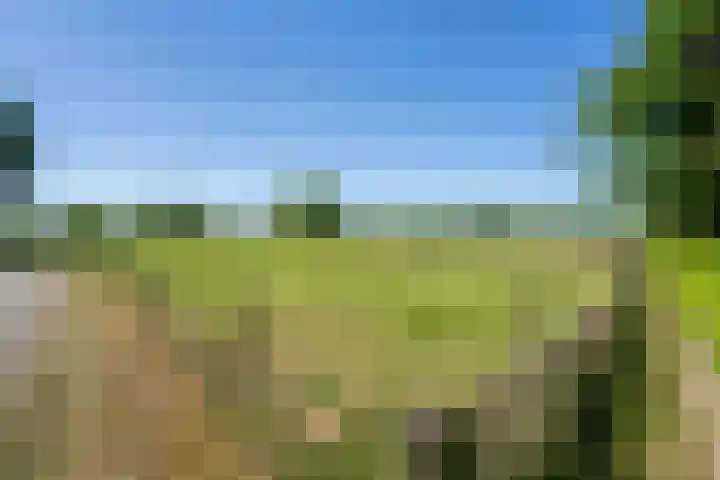 Heikempweg 1 Weert thumbnail 53