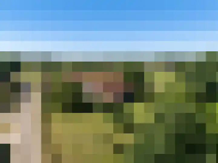 Heikempweg 1 Weert thumbnail 6