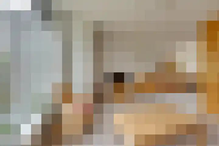 Heikeshof 21 De Rijp thumbnail 13
