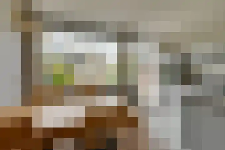 Heikeshof 21 De Rijp thumbnail 17