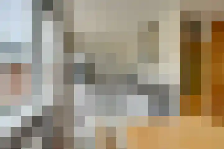 Heikeshof 21 De Rijp thumbnail 19