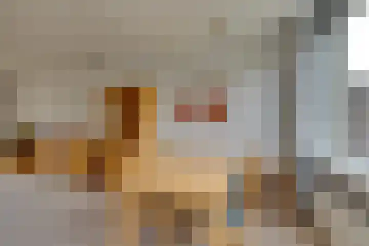 Heikeshof 21 De Rijp thumbnail 21