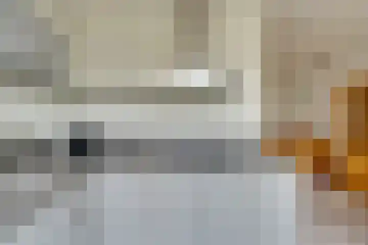 Heikeshof 21 De Rijp thumbnail 22