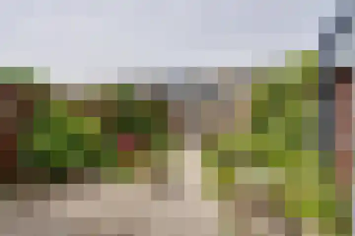 Heikeshof 21 De Rijp thumbnail 23