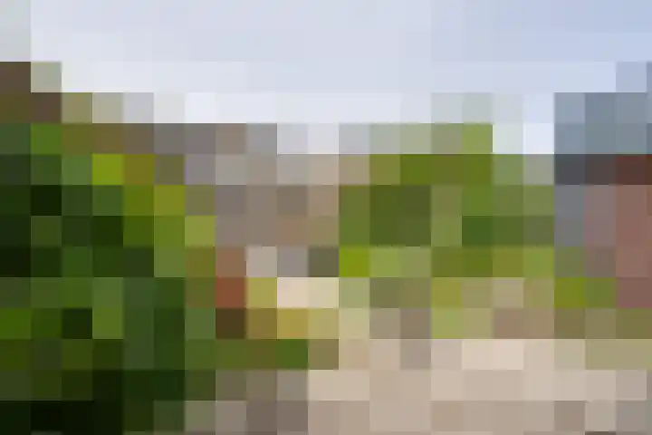Heikeshof 21 De Rijp thumbnail 24