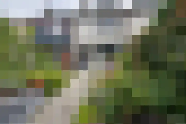 Heikeshof 21 De Rijp thumbnail 25