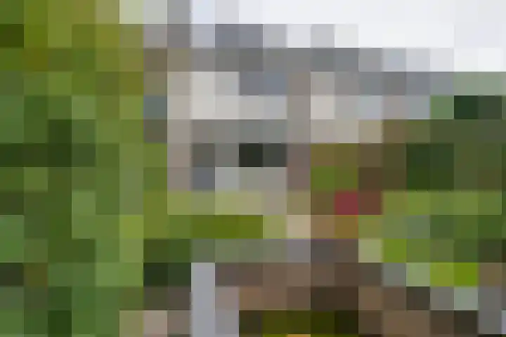Heikeshof 21 De Rijp thumbnail 26