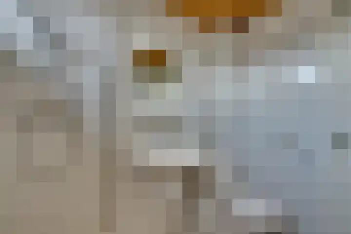 Heikeshof 21 De Rijp thumbnail 38