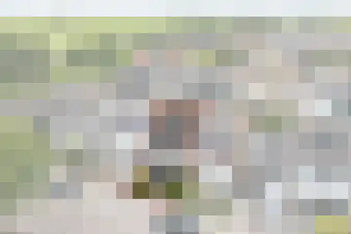 Heikeshof 21 De Rijp thumbnail 4