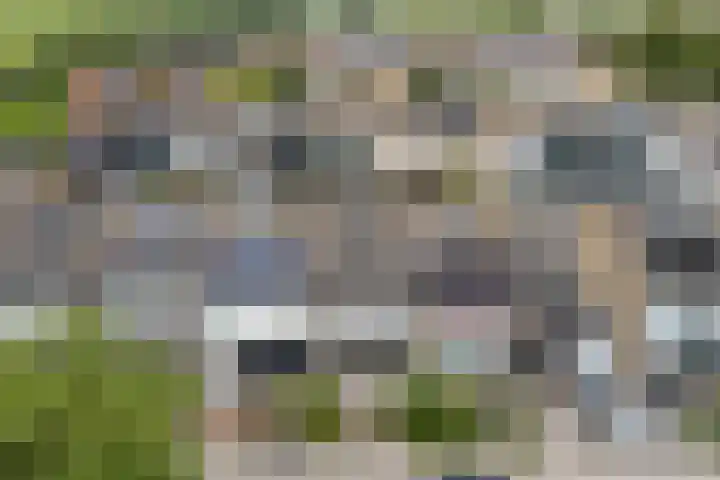 Heikeshof 21 De Rijp thumbnail 45