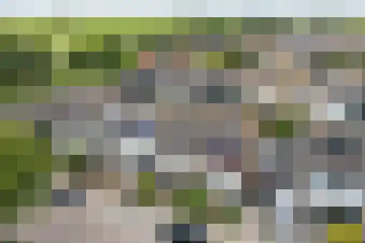 Heikeshof 21 De Rijp thumbnail 46