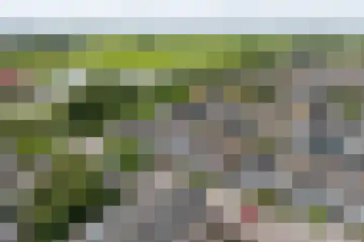 Heikeshof 21 De Rijp thumbnail 47