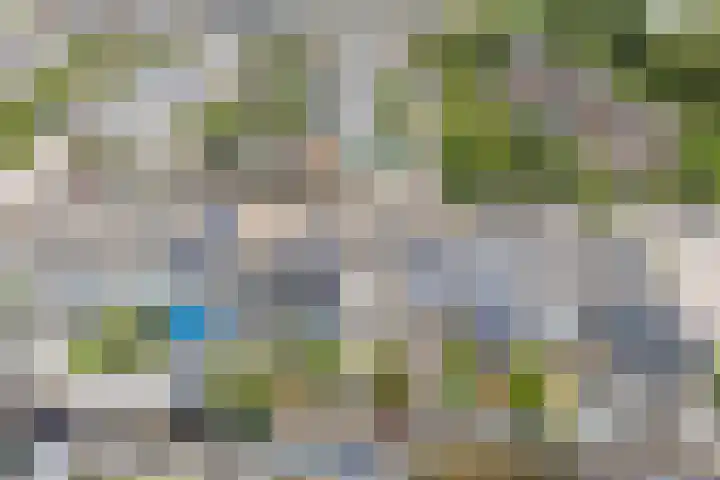 Heikeshof 21 De Rijp thumbnail 48