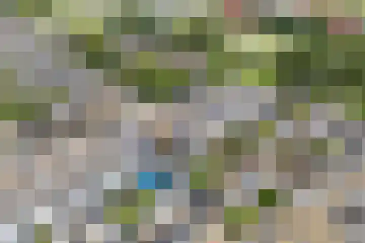 Heikeshof 21 De Rijp thumbnail 49