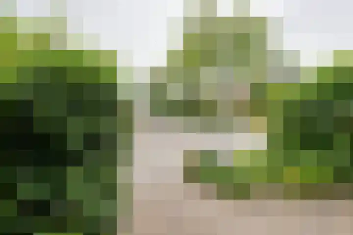 Heikeshof 21 De Rijp thumbnail 7