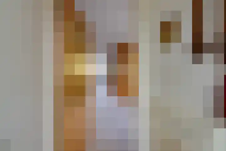 Heikeshof 21 De Rijp thumbnail 9