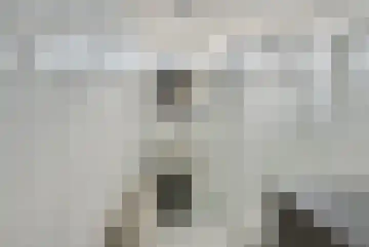 Heikeshof 3 De Rijp thumbnail 24