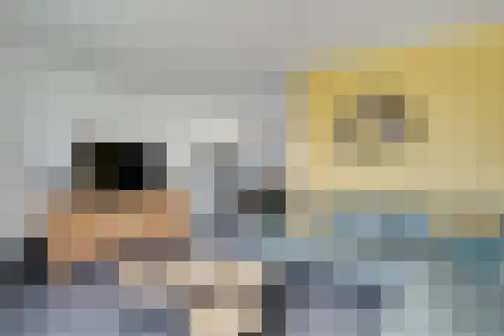 Heikeshof 3 De Rijp thumbnail 5