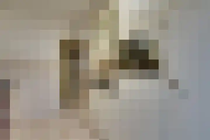 Heikeshof 30 De Rijp thumbnail 17