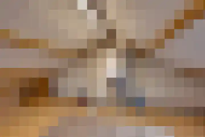 Heikeshof 30 De Rijp thumbnail 33