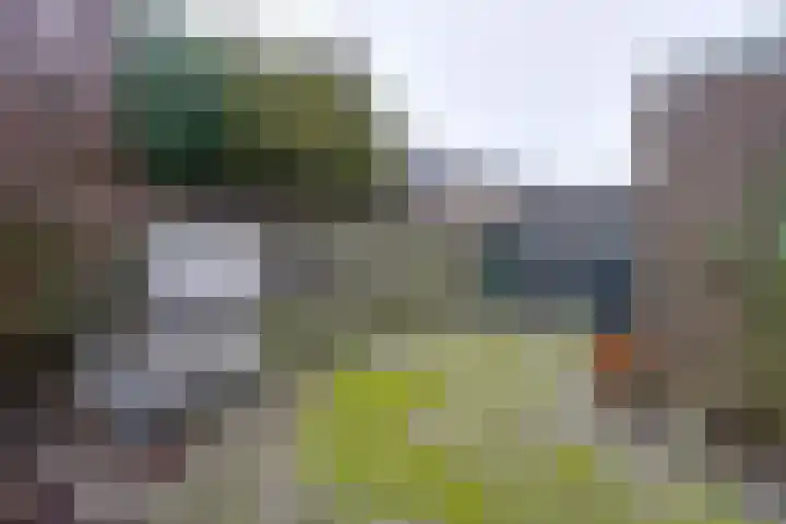 Heikeshof 30 De Rijp thumbnail 37