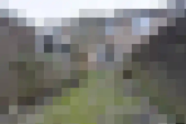 Heikeshof 30 De Rijp thumbnail 38