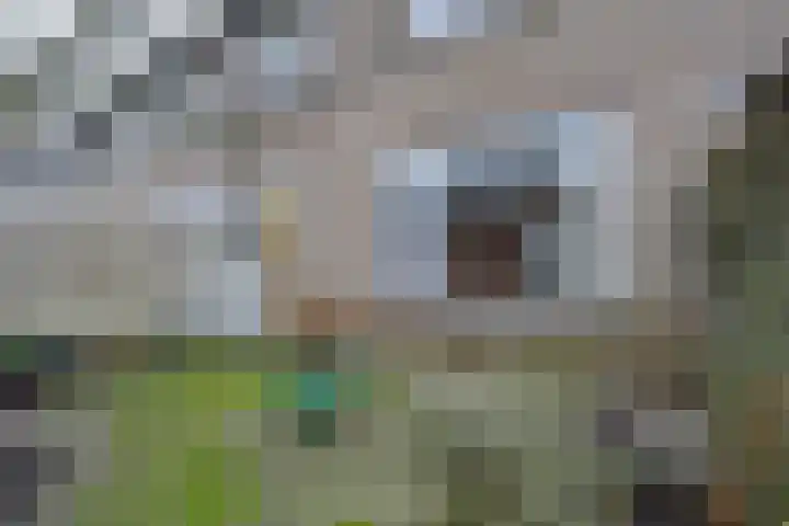 Heikeshof 30 De Rijp thumbnail 40