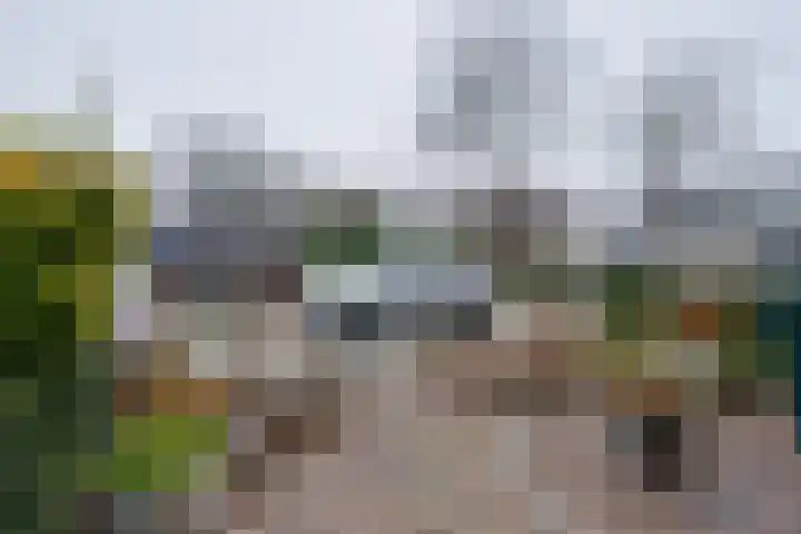 Heikeshof 30 De Rijp thumbnail 41
