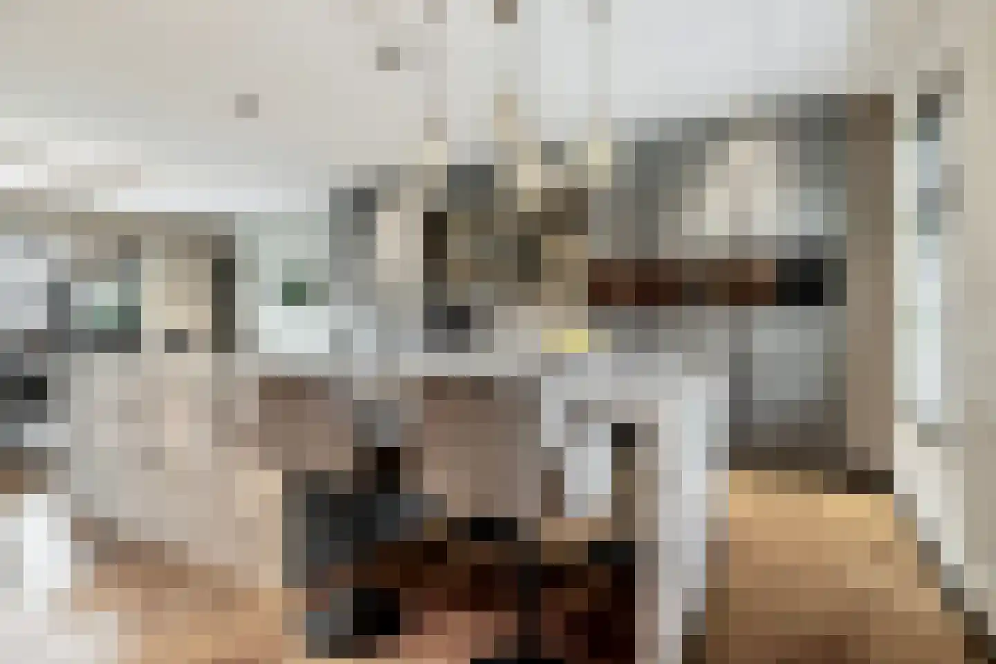 Heilaardreef 21 Breda thumbnail 11