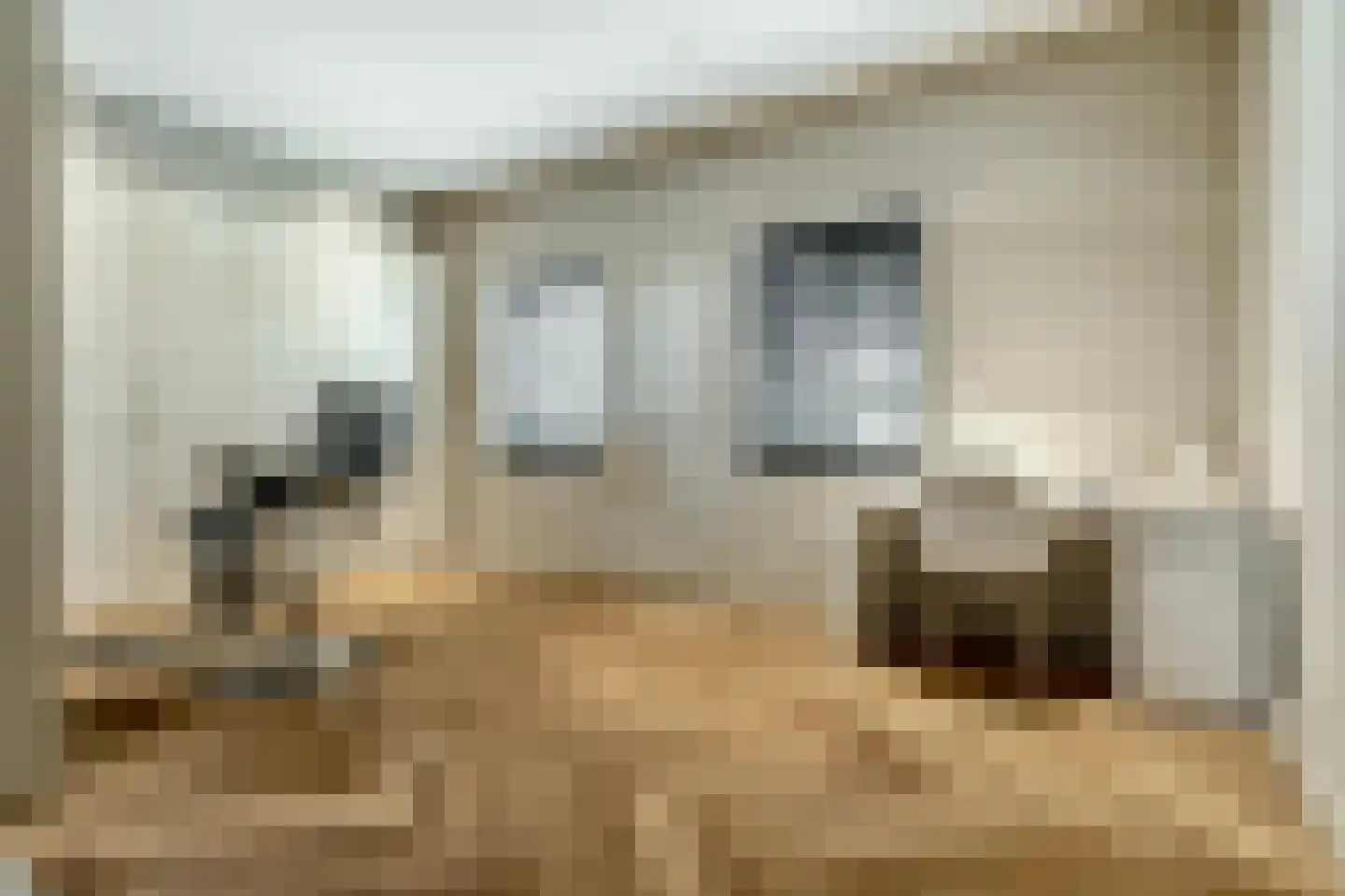 Heilaardreef 21 Breda thumbnail 17