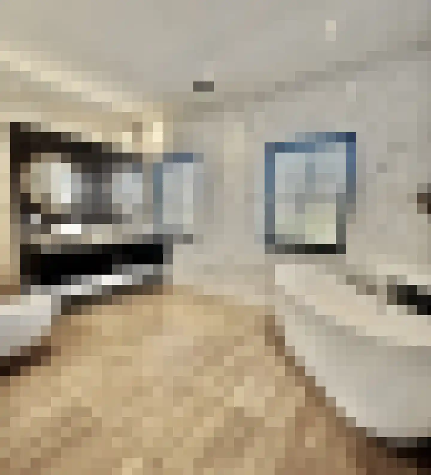 Heilaardreef 21 Breda thumbnail 25