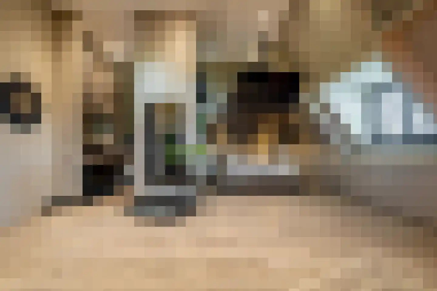 Heilaardreef 21 Breda thumbnail 28