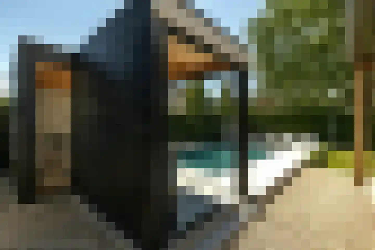 Heilaardreef 21 Breda thumbnail 36