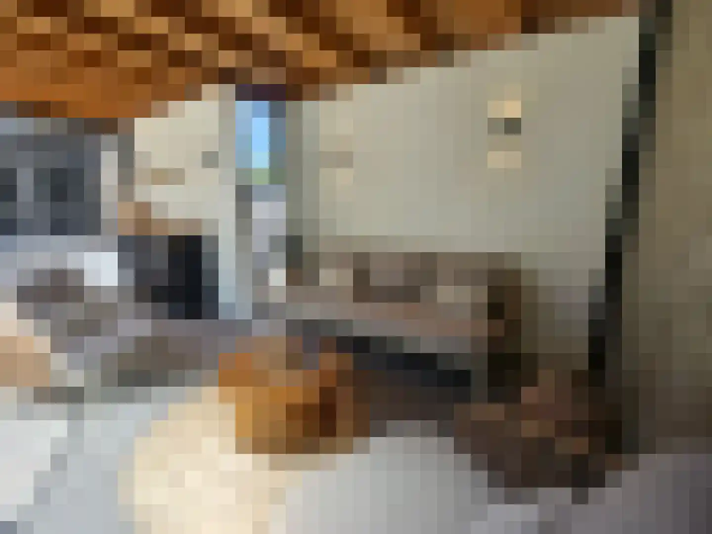 Heilaardreef 21 Breda thumbnail 37