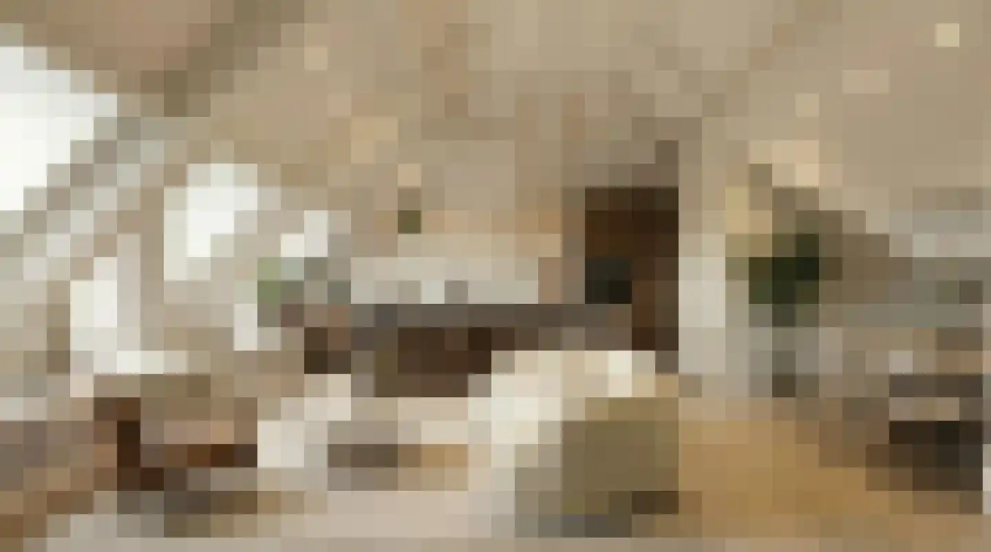 Heilaardreef 3 Breda thumbnail 11