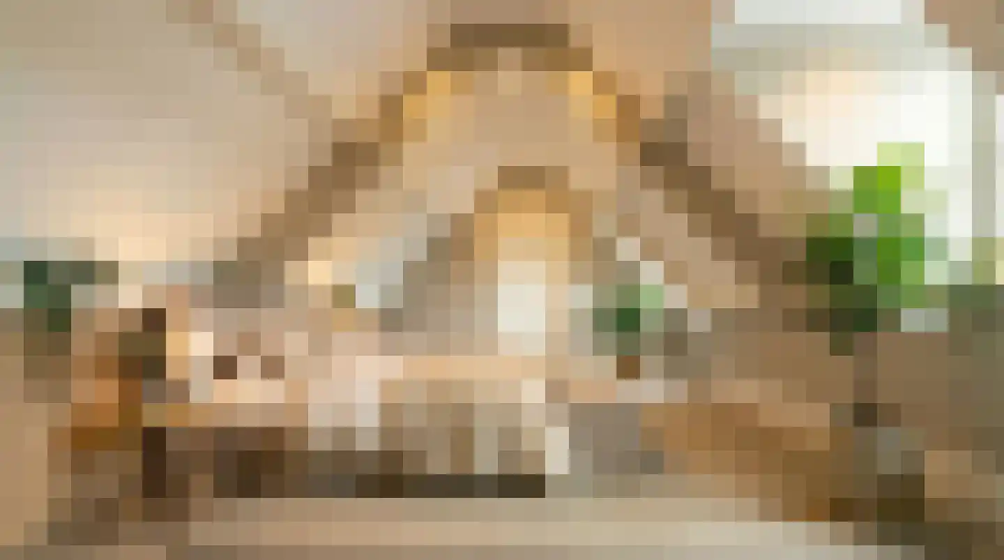 Heilaardreef 3 Breda thumbnail 13