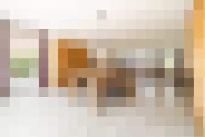 Heilaardreef 5 Breda thumbnail 11