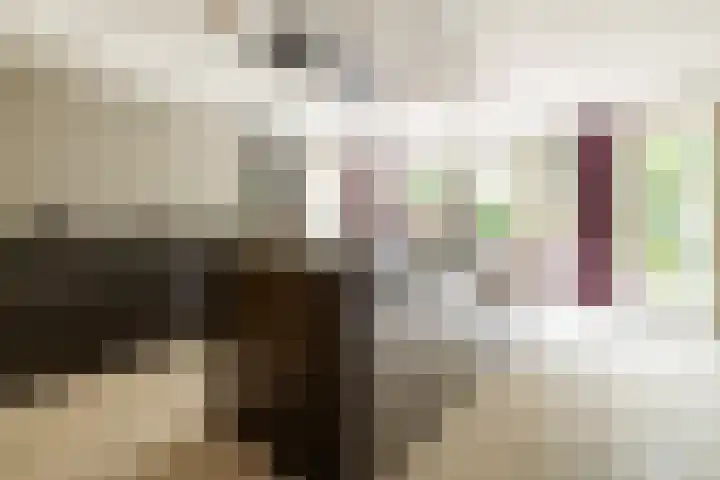 Heilaardreef 5 Breda thumbnail 15