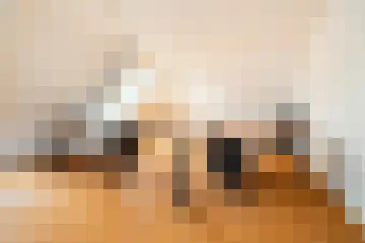 Heilaardreef 5 Breda thumbnail 25