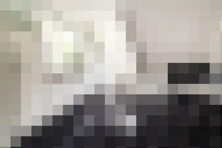 Heilaardreef 5 Breda thumbnail 30