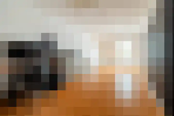 Heilaardreef 5 Breda thumbnail 33