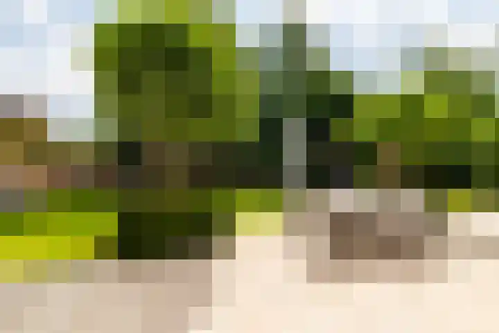 Heilaardreef 5 Breda thumbnail 38