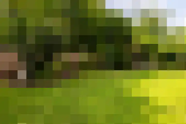 Heilaardreef 5 Breda thumbnail 39