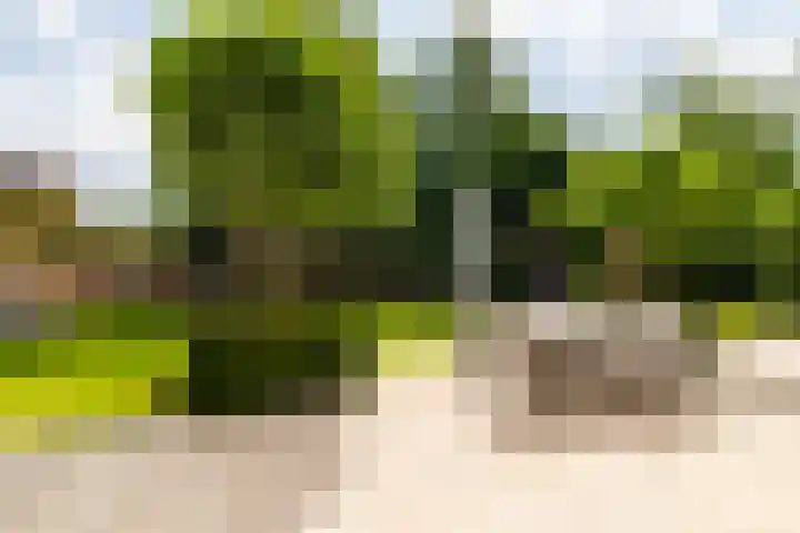 Heilaardreef 5 Breda thumbnail 4