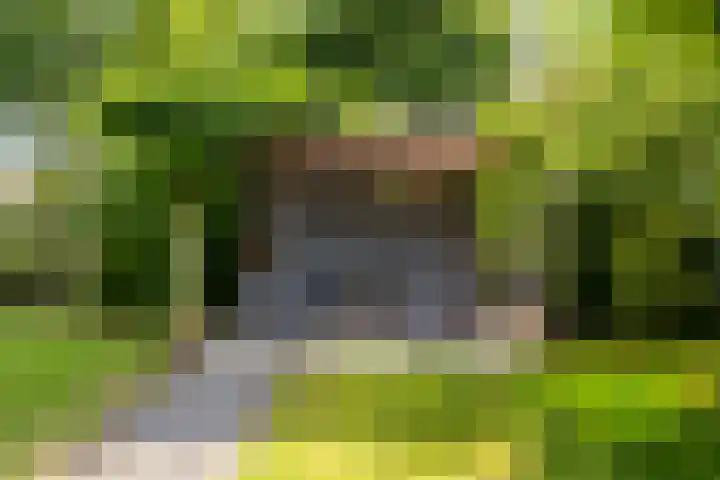 Heilaardreef 5 Breda thumbnail 40
