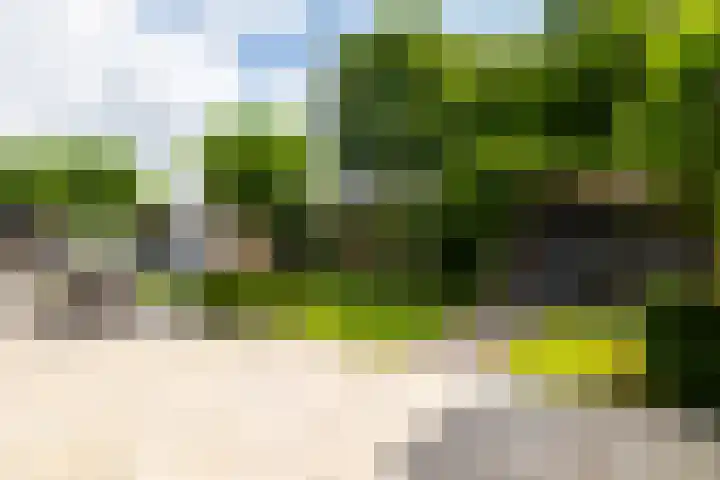 Heilaardreef 5 Breda thumbnail 41