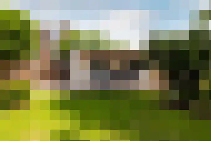 Heilaardreef 5 Breda thumbnail 42